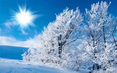 snow background wallpaper|free snow screensavers and wallpaper.